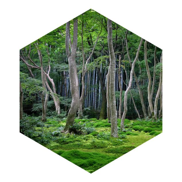 Tapeter Japanese Forest