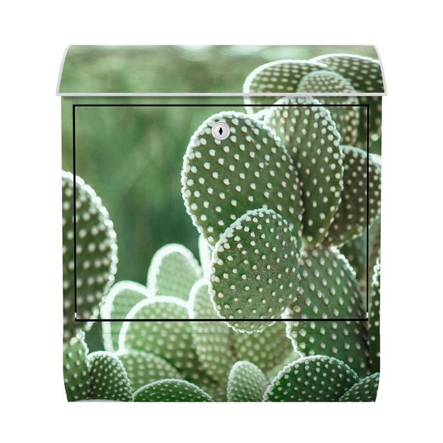 Brevlådor grön Cacti