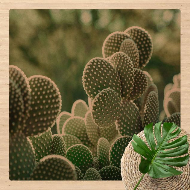 moderna mattor Cacti