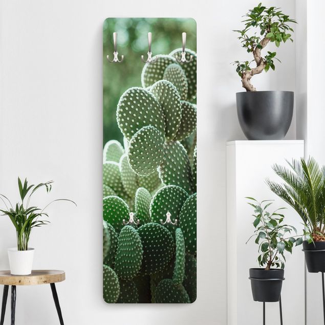 Klädhängare vägg blommor  Cacti