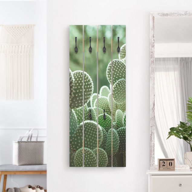 Klädhängare vägg blommor  Cacti