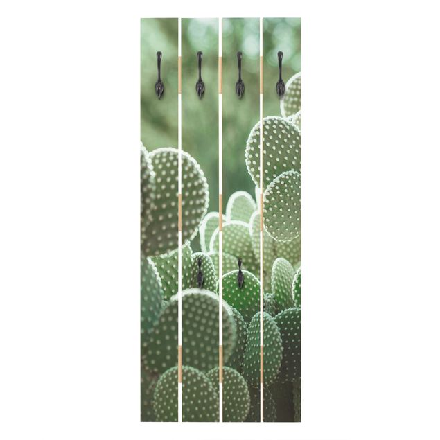 Klädhängare vägg Cacti