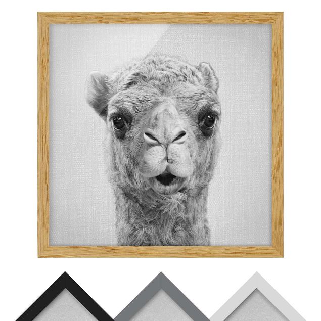 Tavlor Gal Design Camel Konrad Black And White