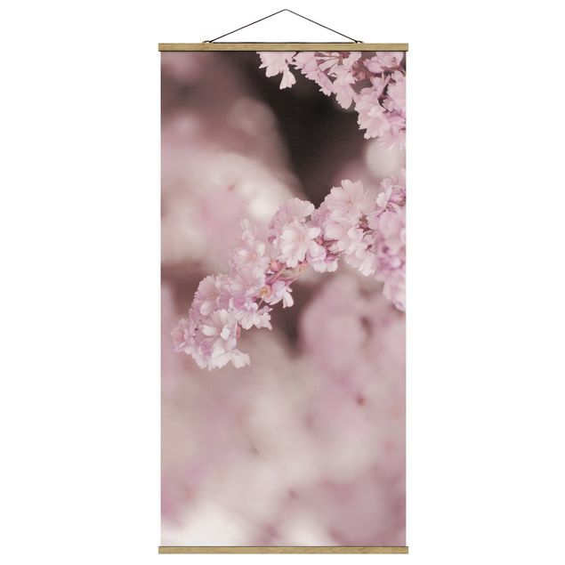 Tavlor modernt Cherry Blossoms In Purple Light