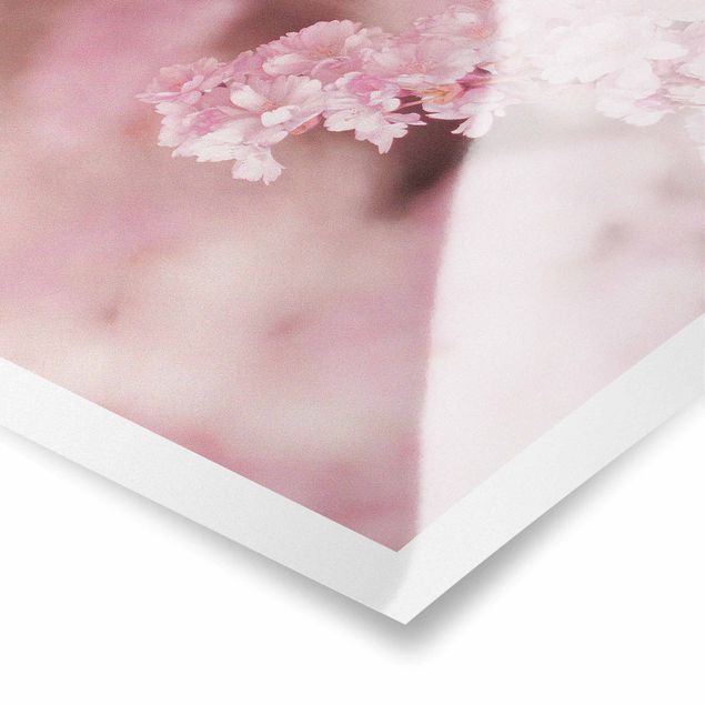 Tavlor Monika Strigel Cherry Blossoms In Purple Light