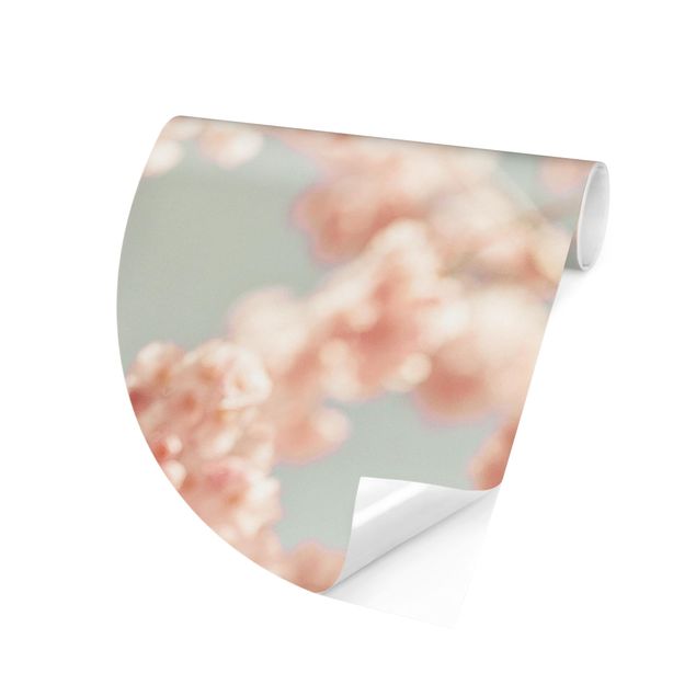Tapeter lantlig Cherry Blossom Glow