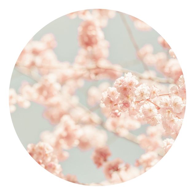 Tapeter modernt Cherry Blossom Glow