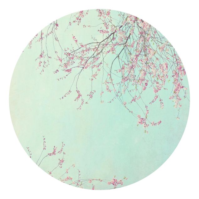 Tapeter Cherry Blossom Yearning