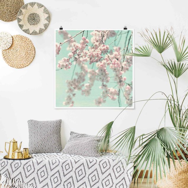 Posters blommor  Dancing Cherry Blossoms On Canvas
