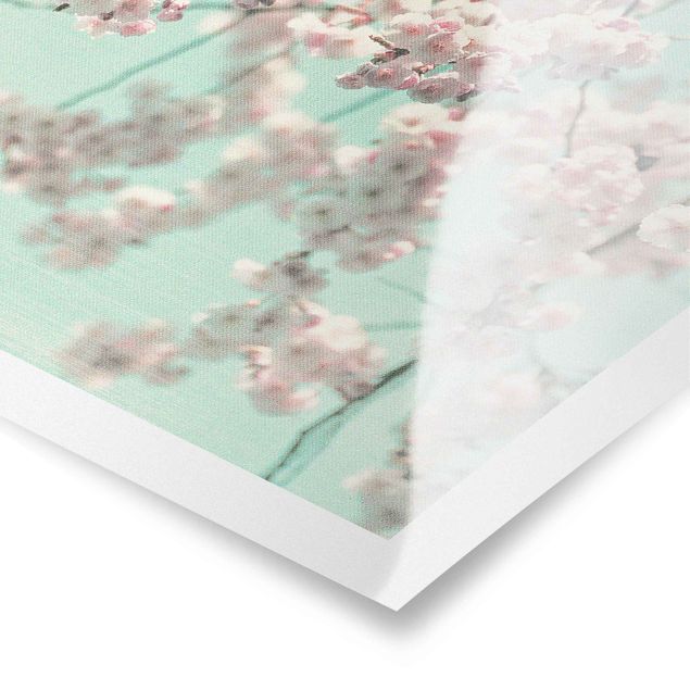 Tavlor Dancing Cherry Blossoms On Canvas