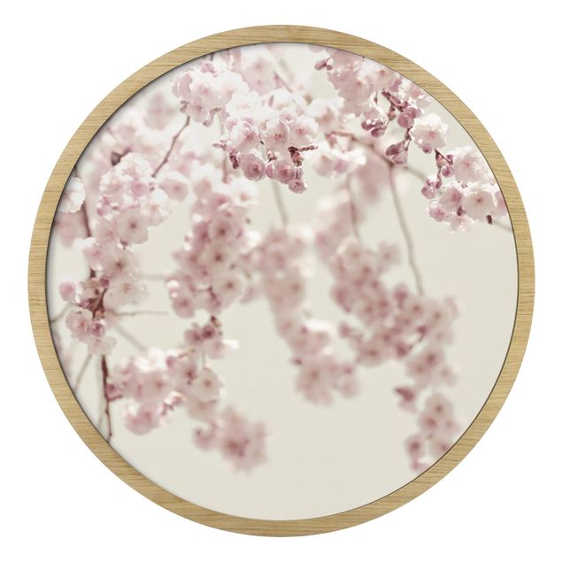 Tavlor Monika Strigel Dancing Cherry Blossoms