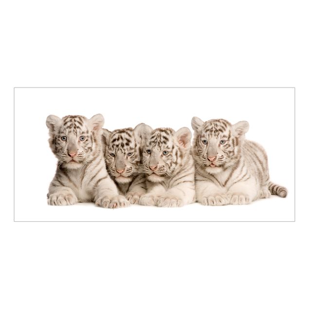 Fönsterdekaler djur Bengal Tiger Babies
