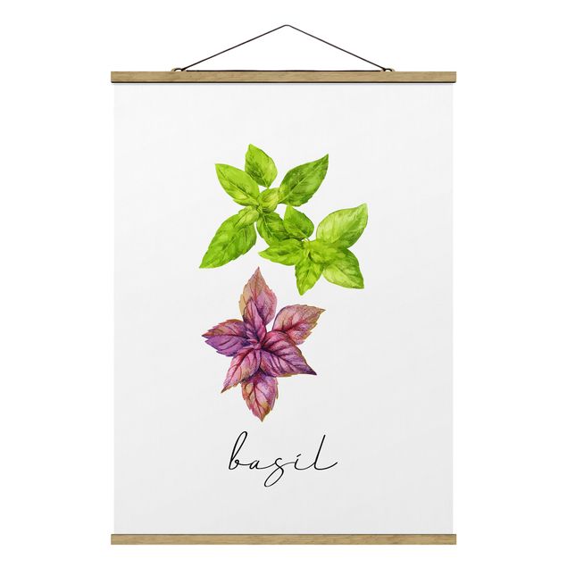 Tavlor blommor  Herbs Illustration Basil