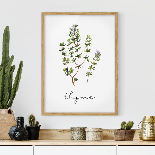Tavlor med ram blommor  Herbs Illustration Thyme