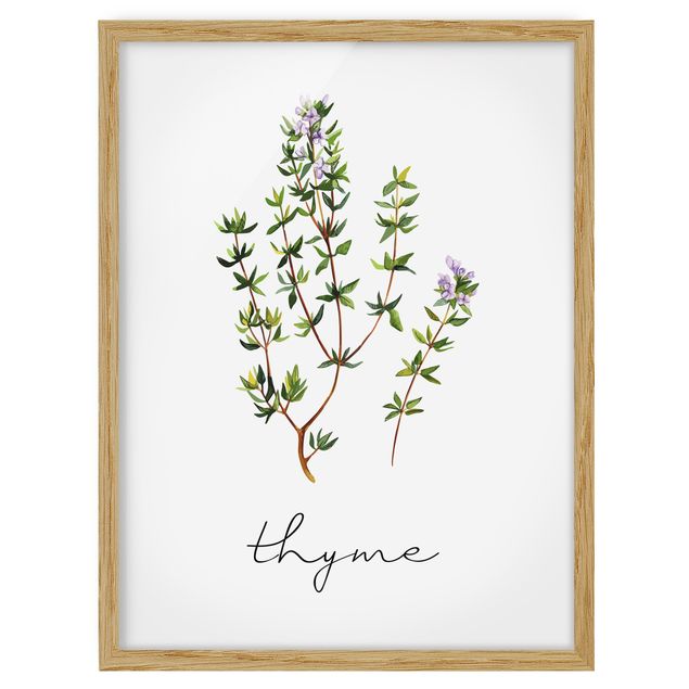 Tavlor blommor Herbs Illustration Thyme
