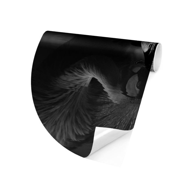 Tapeter modernt Crowned Crane Bow Black And White