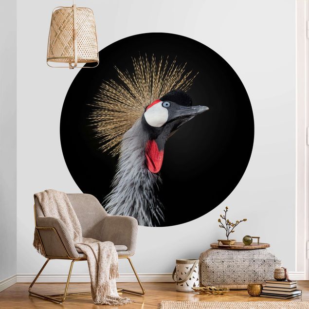 Fototapeter fåglar Crowned Crane In Front Of Black