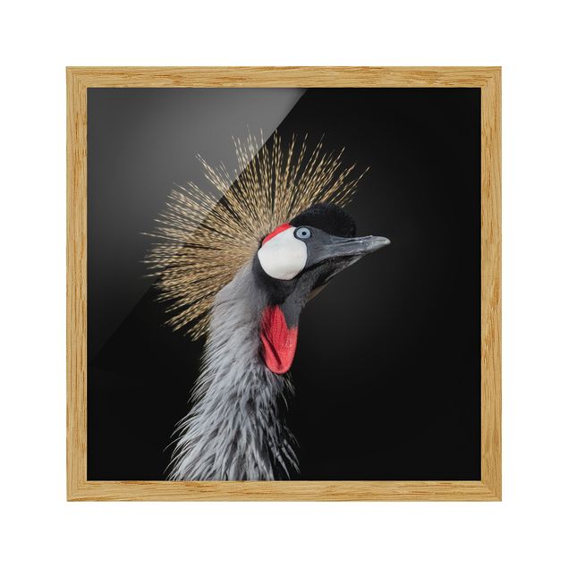 Tavlor modernt Crowned Crane In Front Of Black