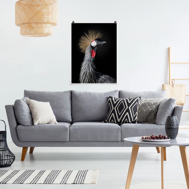 Posters djur Crowned Crane In Front Of Black