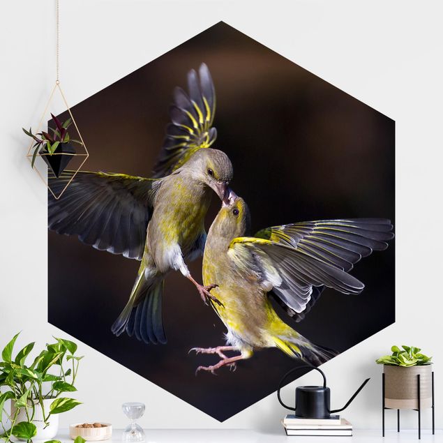 Kök dekoration Kissing Hummingbirds