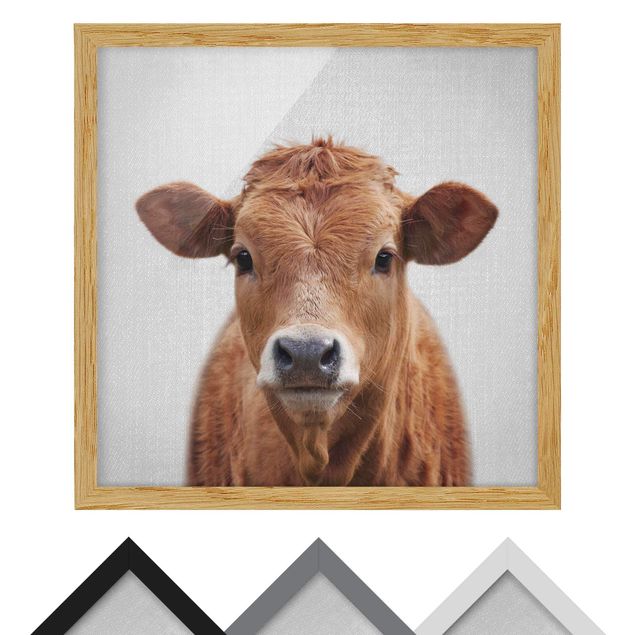 Tavlor Gal Design Cow Kathrin