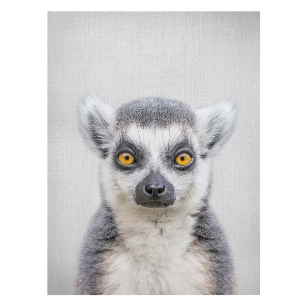 Canvastavlor djur Lemur Ludwig