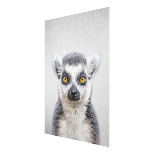 Tavlor svart och vitt Lemur Ludwig