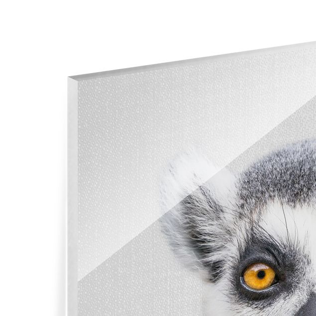 Tavlor Gal Design Lemur Ludwig