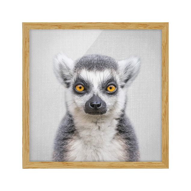 Tavlor med ram djur Lemur Ludwig
