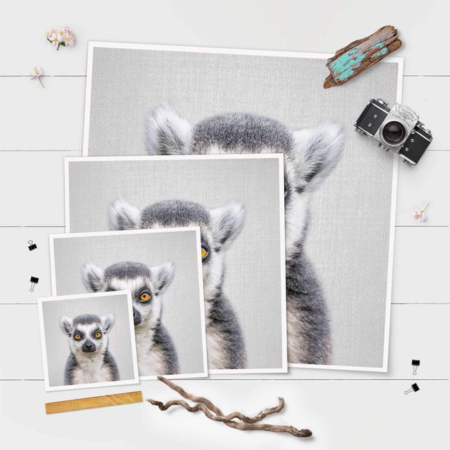 Tavlor Lemur Ludwig