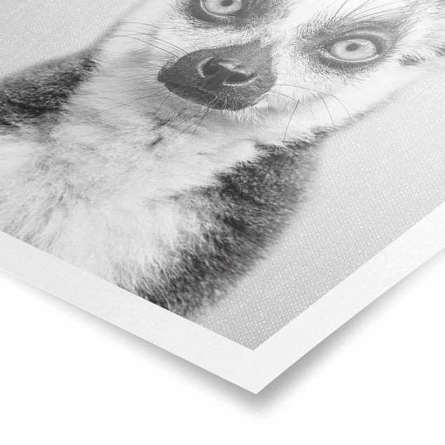 Tavlor modernt Lemur Ludwig Black And White