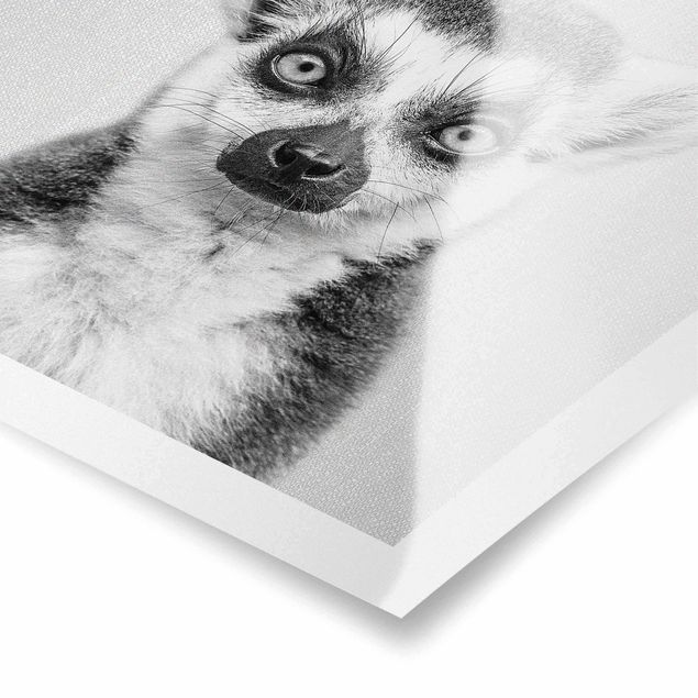 Tavlor svart och vitt Lemur Ludwig Black And White