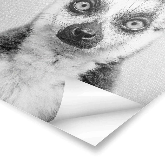 Tavlor Gal Design Lemur Ludwig Black And White