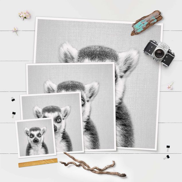 Tavlor Lemur Ludwig Black And White