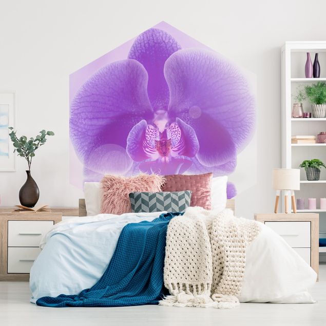 Fototapeter blommor  Purple Orchid On Water