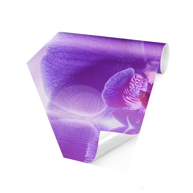 Hexagonala tapeter Purple Orchid On Water