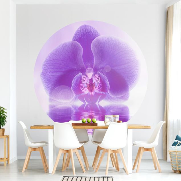 Fototapeter orkidéer Purple Orchid On Water