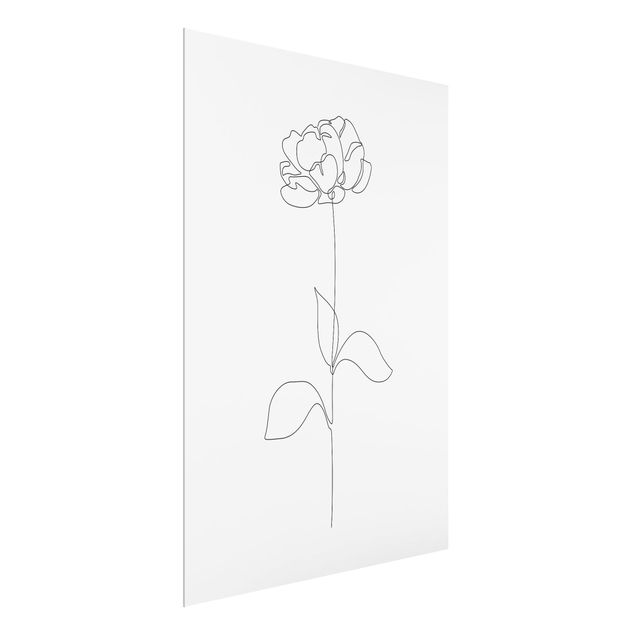Tavlor modernt Line Art Flowers - Peony