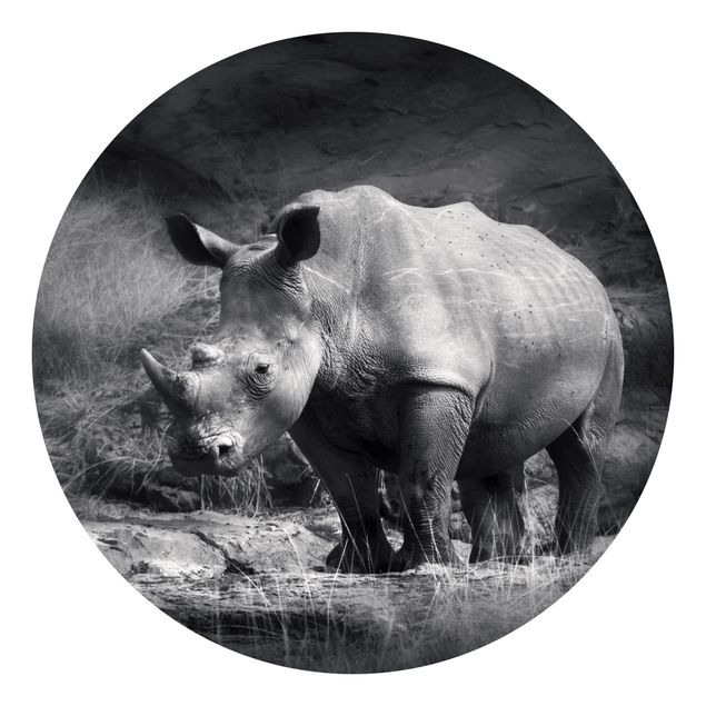 Fototapeter svart och vitt Lonesome Rhinoceros