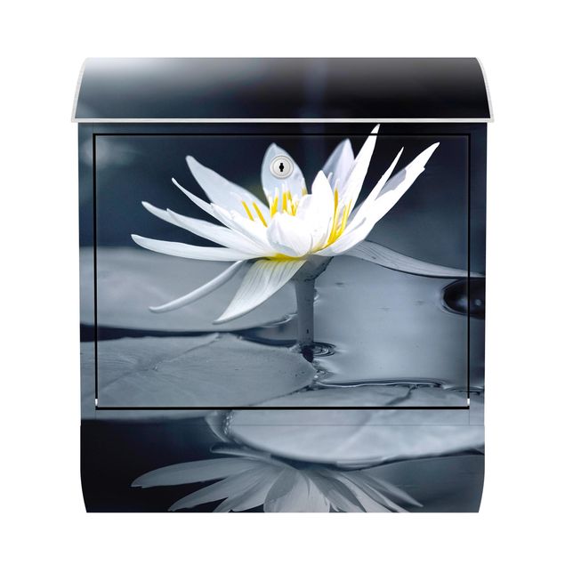 Brevlådor blå Lotus Reflection In The Water