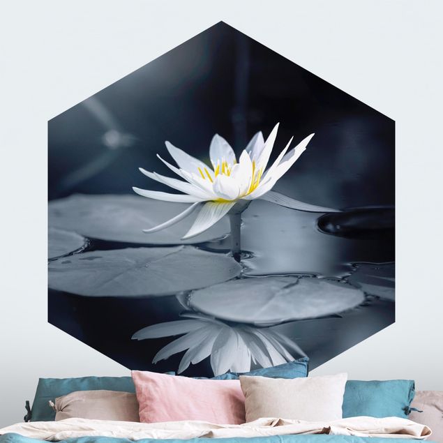 Fototapeter rosor Lotus Reflection In The Water