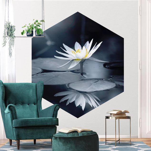 Fototapeter blommor  Lotus Reflection In The Water