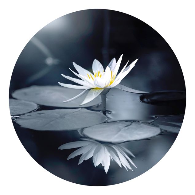 Fototapeter blå Lotus Reflection In The Water