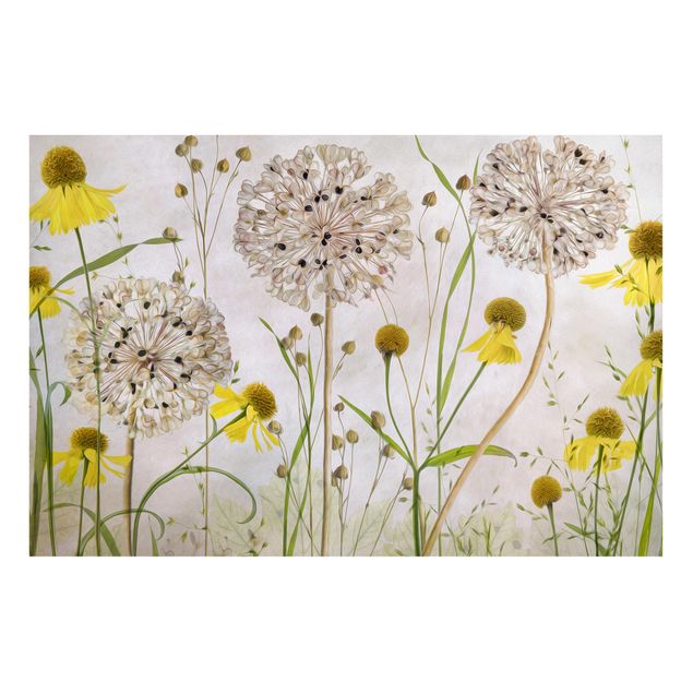 Magnettavla blommor  Allium And Helenium Illustration
