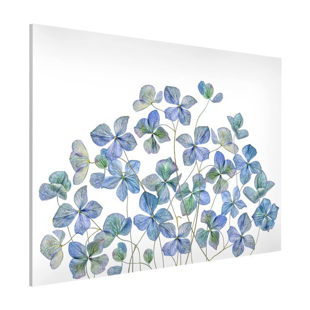 Kök dekoration Blue Hydrangea Flowers