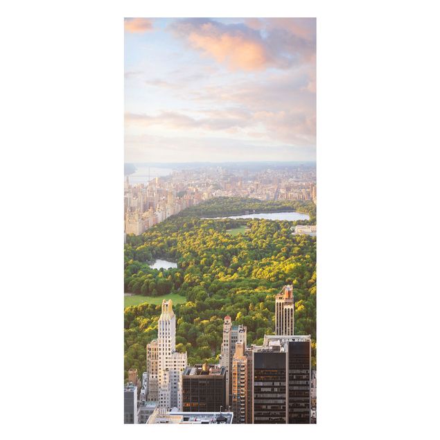 Tavlor landskap Overlooking Central Park