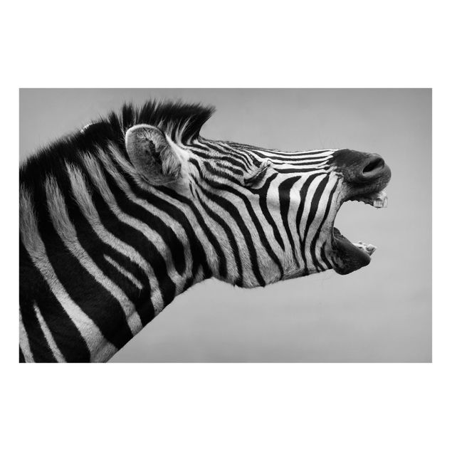 Tavlor zebror Roaring Zebra ll