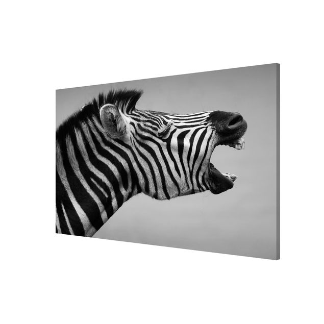 Magnettavla djur Roaring Zebra ll