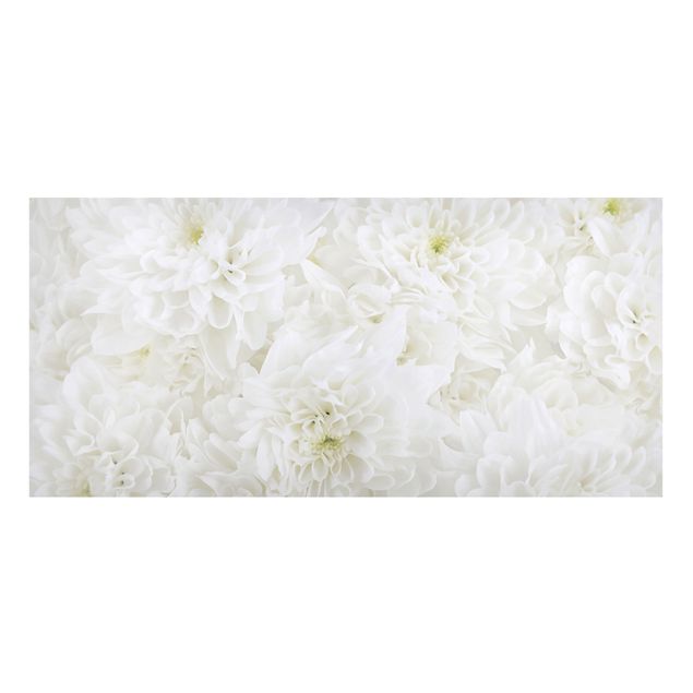 Magnettavla blommor  Dahlias Sea Of Flowers White
