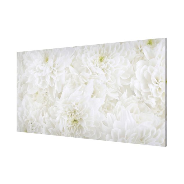 Tavlor blommor Dahlias Sea Of Flowers White